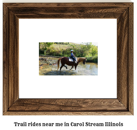 trail rides near me in Carol Stream, Illinois